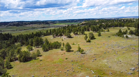 80 Acres | Bull Mountains | Elk Camp, Livestock, and Seclusion - image 12