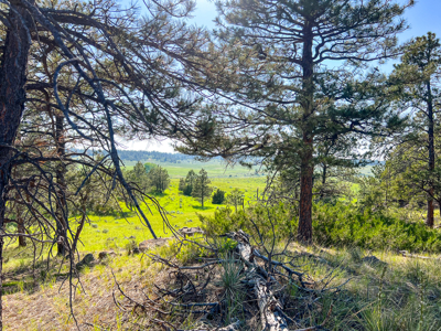 80 Acres | Bull Mountains | Elk Camp, Livestock, and Seclusion - image 22