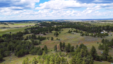 80 Acres | Bull Mountains | Elk Camp, Livestock, and Seclusion - image 13