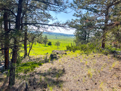 80 Acres | Bull Mountains | Elk Camp, Livestock, and Seclusion - image 23