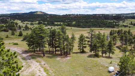 80 Acres | Bull Mountains | Elk Camp, Livestock, and Seclusion - image 14