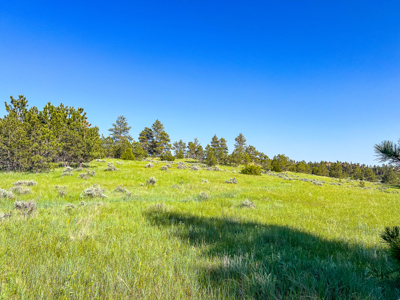 80 Acres | Bull Mountains | Elk Camp, Livestock, and Seclusion - image 20