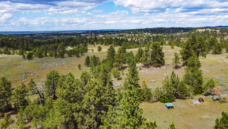80 Acres | Bull Mountains | Elk Camp, Livestock, and Seclusion - image 15