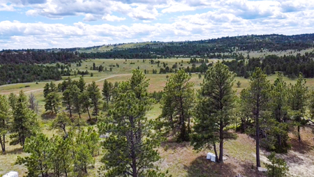 80 Acres | Bull Mountains | Elk Camp, Livestock, and Seclusion - image 11
