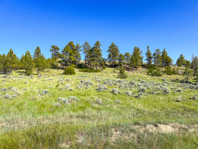 80 Acres | Bull Mountains | Elk Camp, Livestock, and Seclusion - image 17