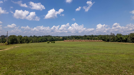 Secluded Log Home Retreat with Stunning Views in the Ozarks - image 32