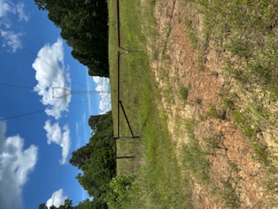 East Texas Land for Sale Featuring the Beauty of Rolling Hills - image 1