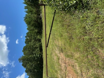 East Texas Land for Sale Featuring the Beauty of Rolling Hills - image 2
