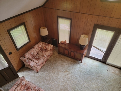 Riverfront Cabin for Sale at Auction in Floyd VA - image 14