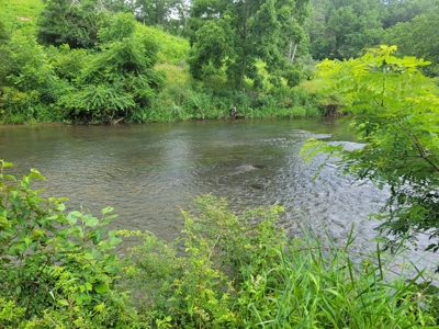 Riverfront Cabin for Sale at Auction in Floyd VA - image 27