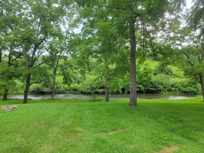 Riverfront Cabin for Sale at Auction in Floyd VA - image 2
