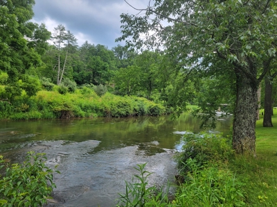 Riverfront Cabin for Sale at Auction in Floyd VA - image 26