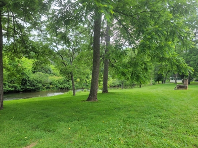 Riverfront Cabin for Sale at Auction in Floyd VA - image 19