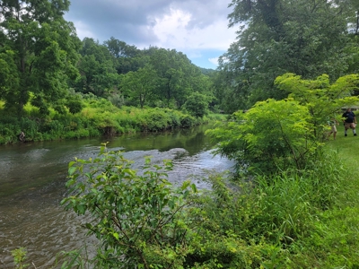 Riverfront Cabin for Sale at Auction in Floyd VA - image 25