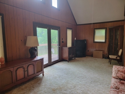 Riverfront Cabin for Sale at Auction in Floyd VA - image 4