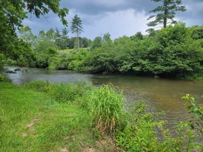 Riverfront Cabin for Sale at Auction in Floyd VA - image 28