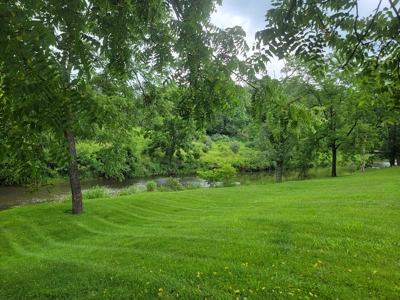 Riverfront Cabin for Sale at Auction in Floyd VA - image 20