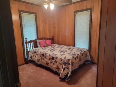 Riverfront Cabin for Sale at Auction in Floyd VA - image 11