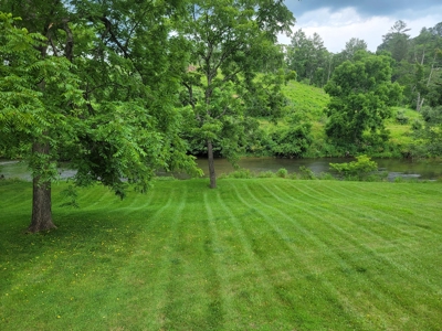 Riverfront Cabin for Sale at Auction in Floyd VA - image 7