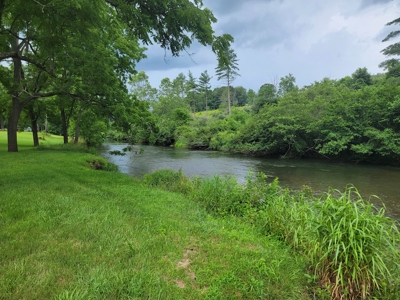 Riverfront Cabin for Sale at Auction in Floyd VA - image 24