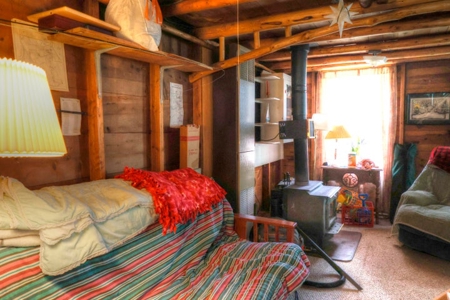 Cabin on 4 Lots in Canada Creek Ranch Atlanta MI - image 14