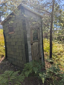 Cabin on 4 Lots in Canada Creek Ranch Atlanta MI - image 36