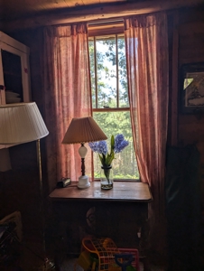 Cabin on 4 Lots in Canada Creek Ranch Atlanta MI - image 20