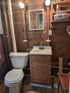 Cabin on 4 Lots in Canada Creek Ranch Atlanta MI - image 17