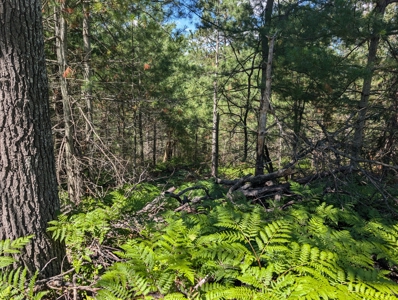 Cabin on 4 Lots in Canada Creek Ranch Atlanta MI - image 34