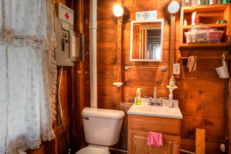Cabin on 4 Lots in Canada Creek Ranch Atlanta MI - image 7