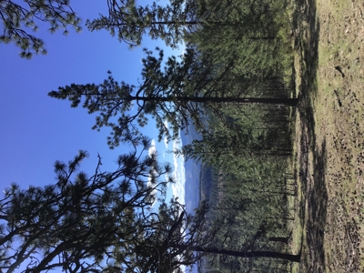 Northern Idaho Land for Sale without Restrictions - image 5