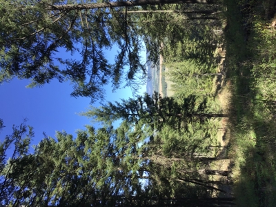 Northern Idaho Land for Sale without Restrictions - image 9