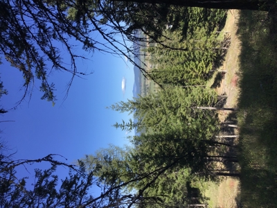 Northern Idaho Land for Sale without Restrictions - image 10