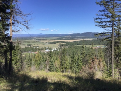 Northern Idaho Land for Sale without Restrictions - image 1