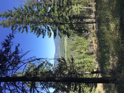 Northern Idaho Land for Sale without Restrictions - image 11