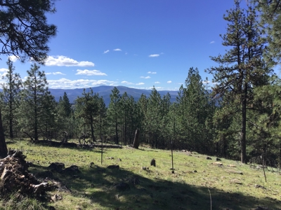 Northern Idaho Land for Sale without Restrictions - image 14