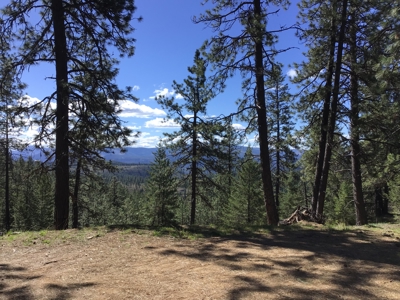 Northern Idaho Land for Sale without Restrictions - image 16
