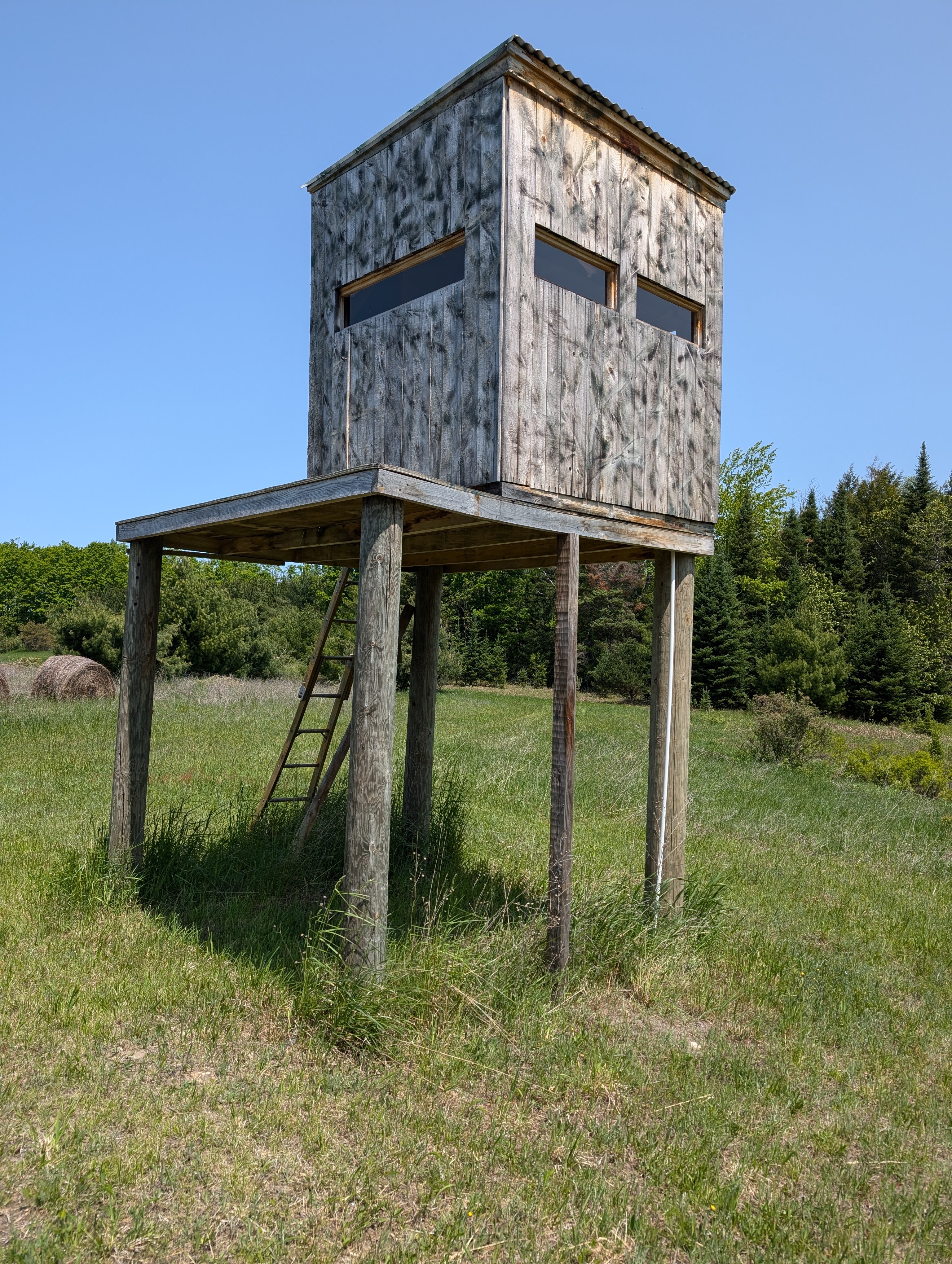 Great White Hunting from this Blind