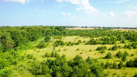 45 Acres of Recreational & Hunting Land For Sale Paris TX, NE TX - image 5