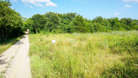 45 Acres of Recreational & Hunting Land For Sale Paris TX, NE TX - image 3