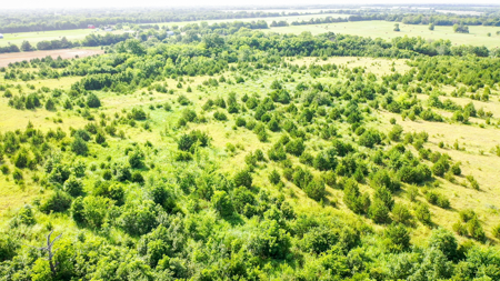 45 Acres of Recreational & Hunting Land For Sale Paris TX, NE TX - image 8