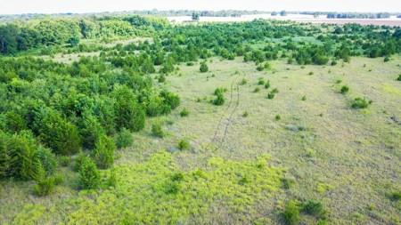 45 Acres of Recreational & Hunting Land For Sale Paris TX, NE TX - image 28