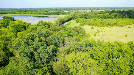 45 Acres of Recreational & Hunting Land For Sale Paris TX, NE TX - image 20