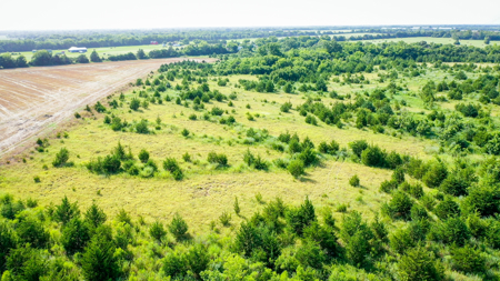 45 Acres of Recreational & Hunting Land For Sale Paris TX, NE TX - image 18