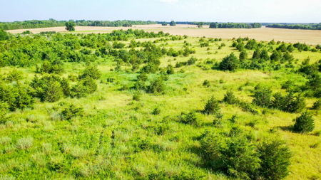 45 Acres of Recreational & Hunting Land For Sale Paris TX, NE TX - image 15