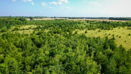 45 Acres of Recreational & Hunting Land For Sale Paris TX, NE TX - image 38
