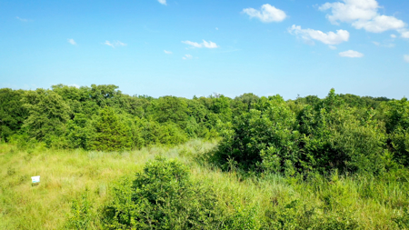 45 Acres of Recreational & Hunting Land For Sale Paris TX, NE TX - image 35