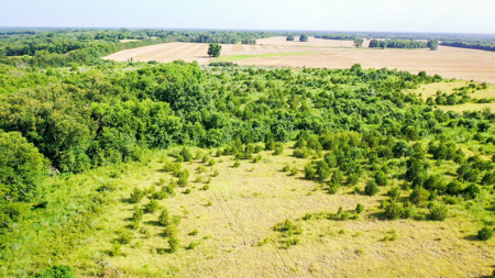 45 Acres of Recreational & Hunting Land For Sale Paris TX, NE TX - image 6