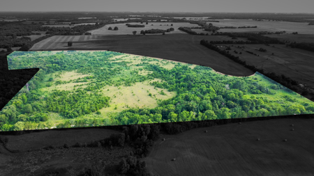 45 Acres of Recreational & Hunting Land For Sale Paris TX, NE TX - image 1