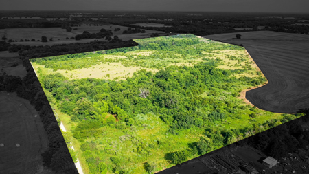 45 Acres of Recreational & Hunting Land For Sale Paris TX, NE TX - image 2